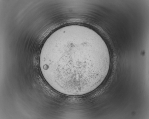 X0000116110929200912211629