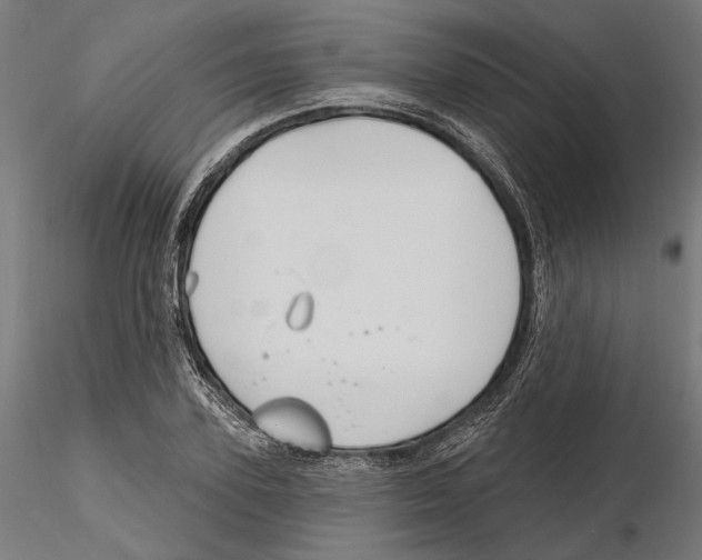 X0000116110931200912211629