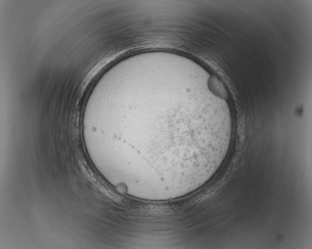 X0000116110933200912211629