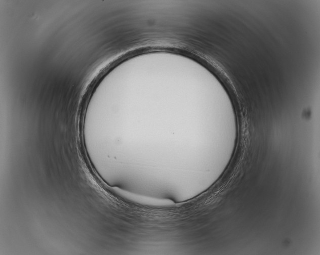 X0000116110935200912211629