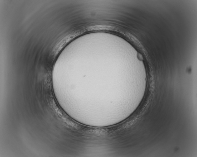 X0000116110937200912211630