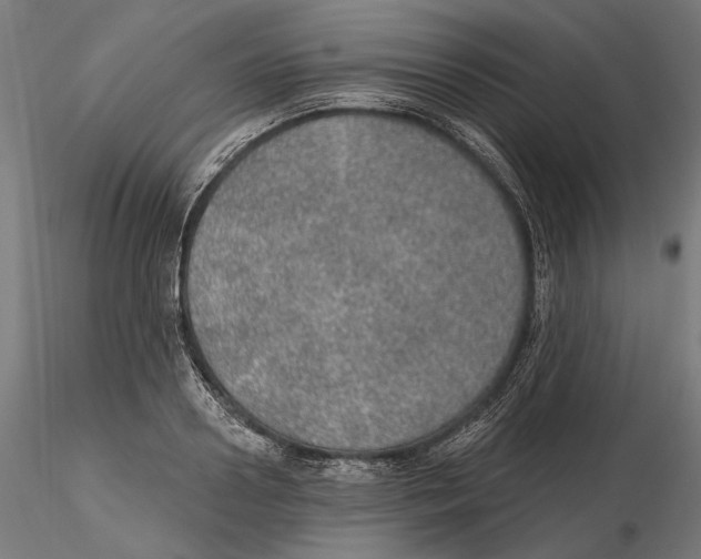 X0000116110938200912211630