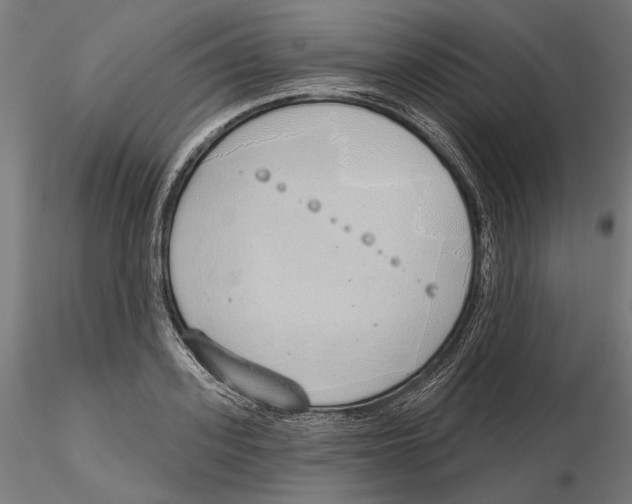 X0000116110939200912211630