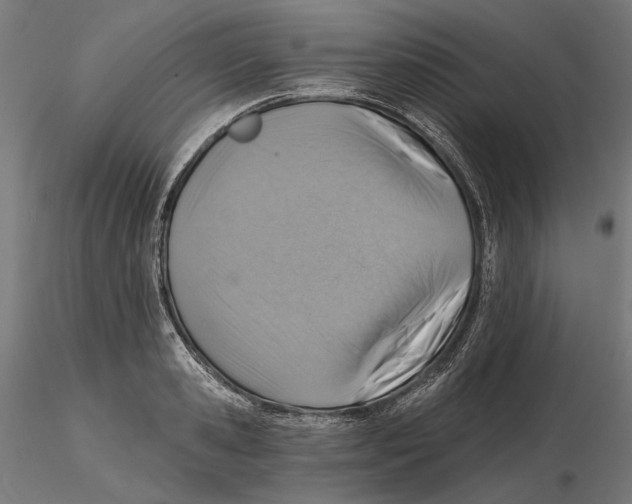 X0000116110941200912211630