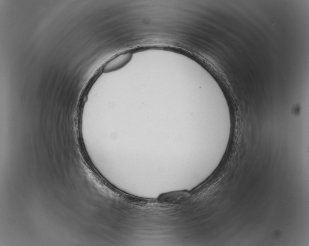 X0000116110942200912211630