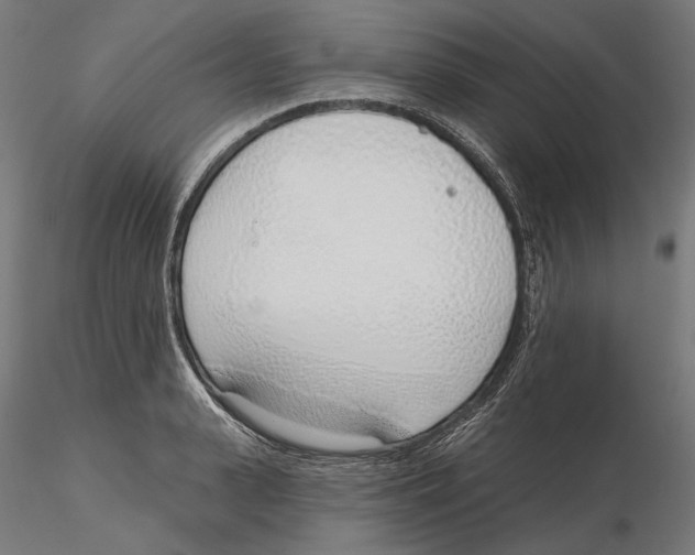 X0000116110943200912211630