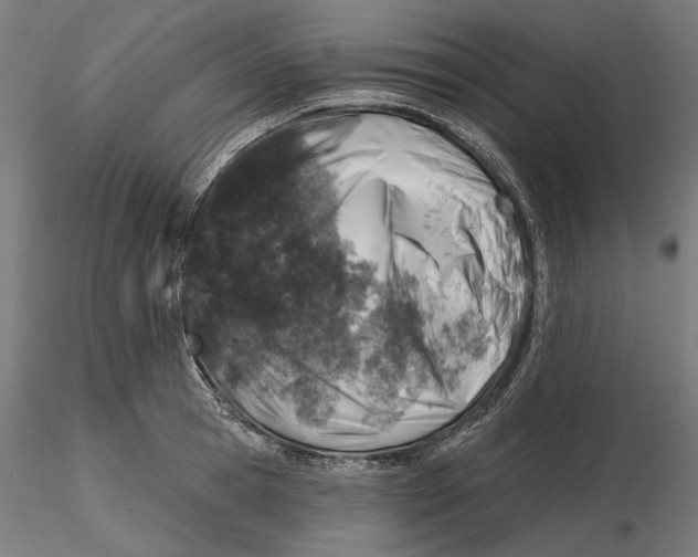 X0000116110945200912211630