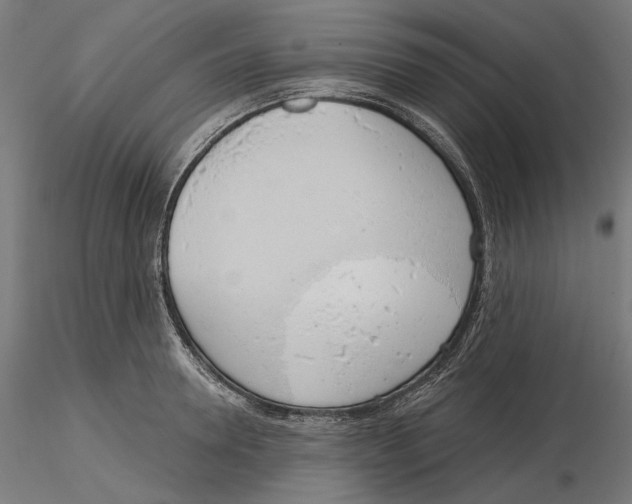 X0000116110946200912211630