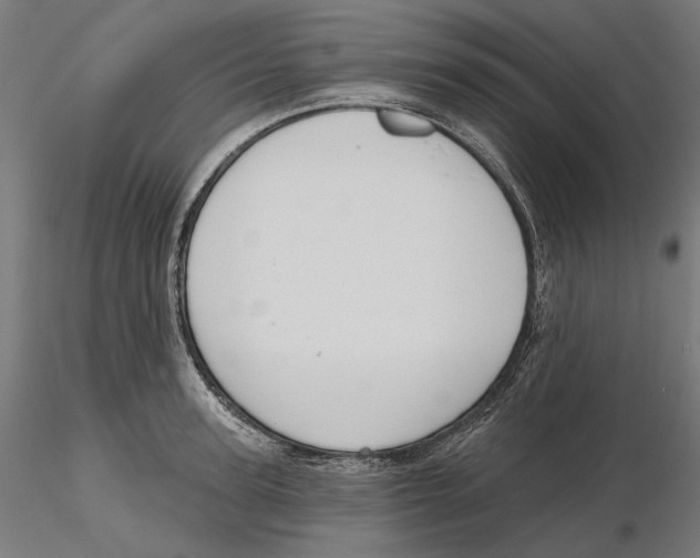 X0000116110947200912211630