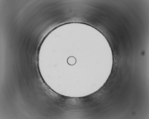 X0000116110950200912211630