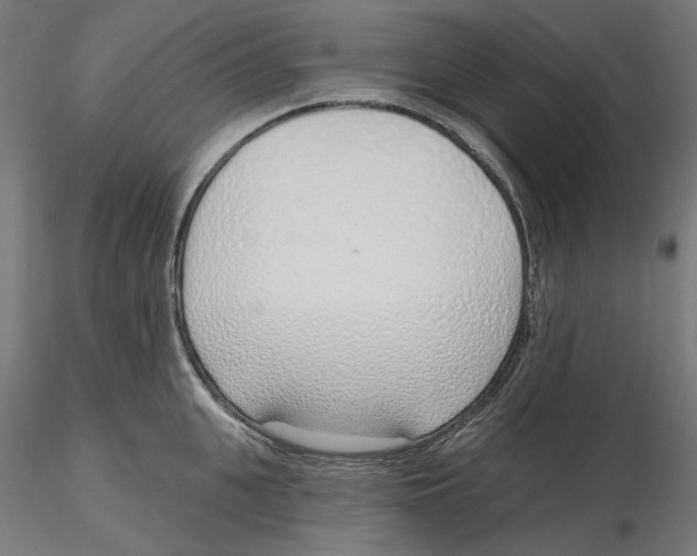 X0000116110951200912211630