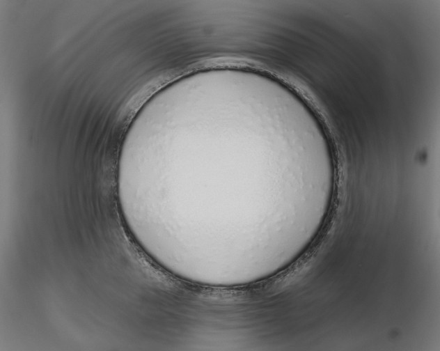 X0000116110953200912211630
