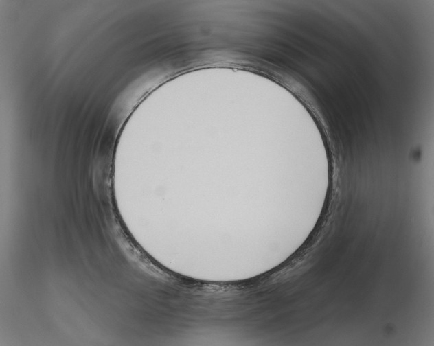 X0000116110954200912211630