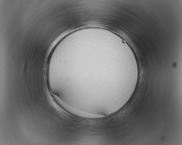X0000116110955200912211630