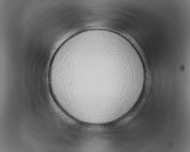 X0000116110957200912211630