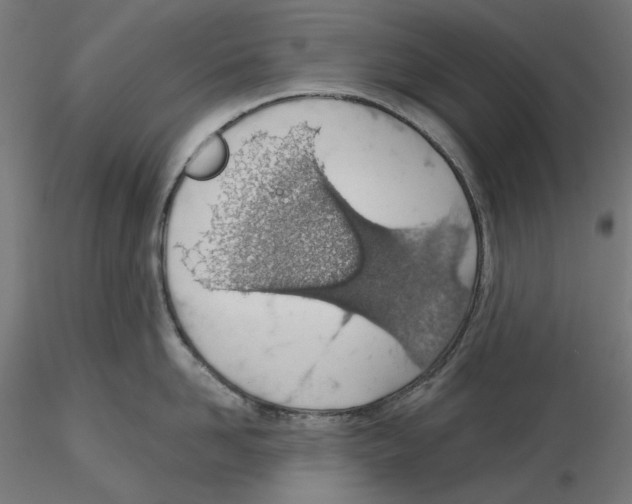 X0000116110958200912211630