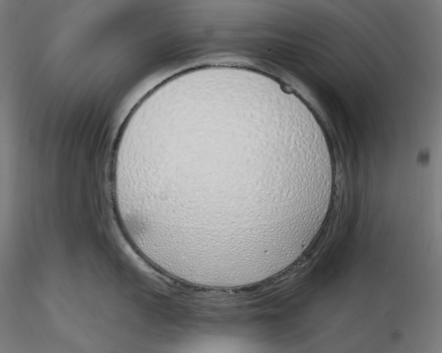X0000116110959200912211630