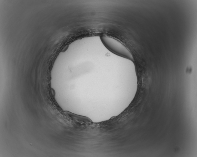 X0000116110961200912211629