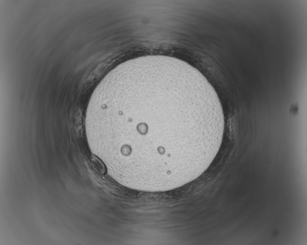 X0000116110963200912211629