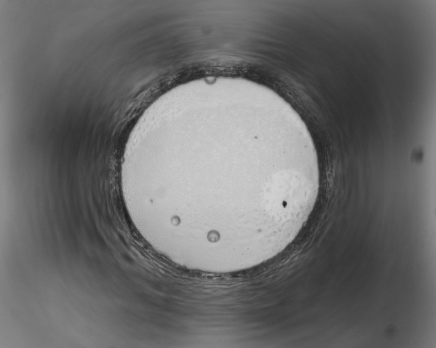 X0000116110964200912211629