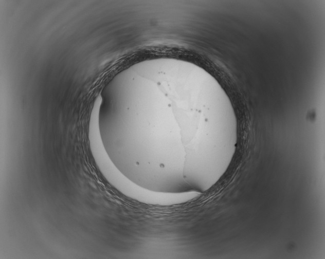 X0000116110965200912211629