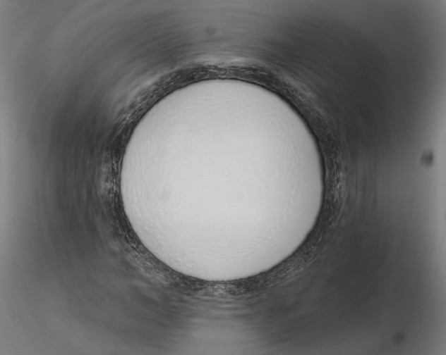 X0000116110966200912211629