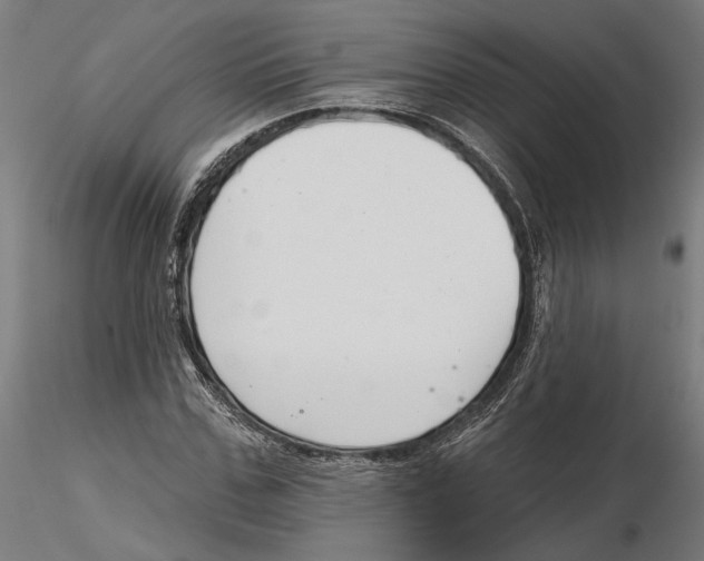 X0000116110971200912211629