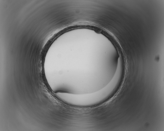 X0000116110973200912211629