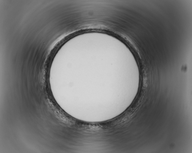 X0000116110975200912211629