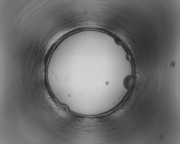 X0000116110981200912211629