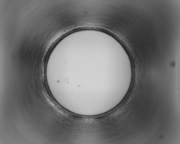X0000116110982200912211629