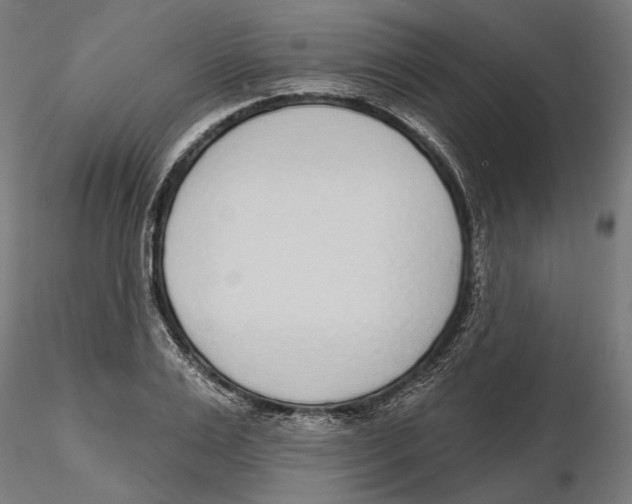 X0000116110983200912211629