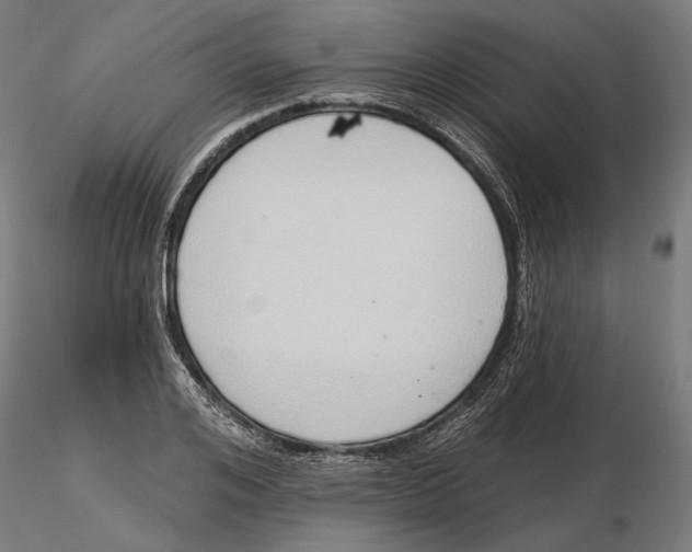 X0000116110984200912211629