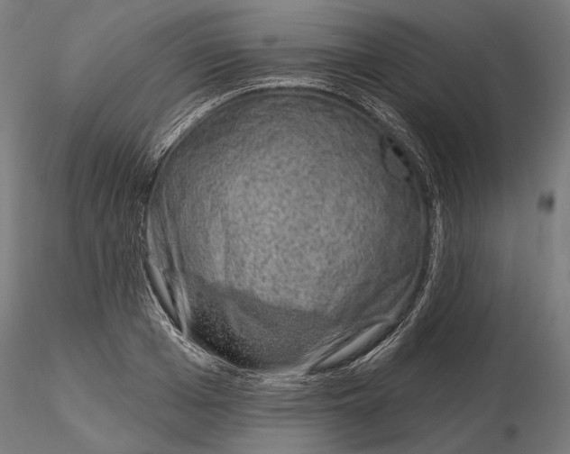 X0000116110985200912211629