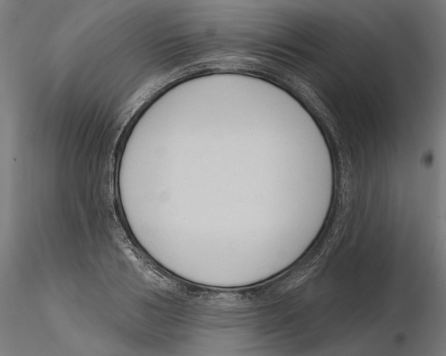 X0000116110986200912211629