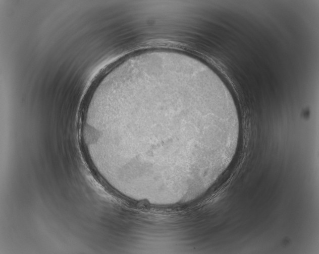 X0000116110987200912211629