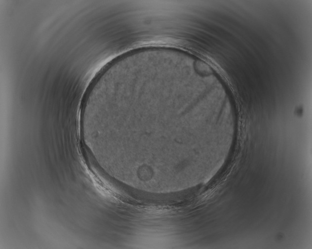 X0000116110988200912211629