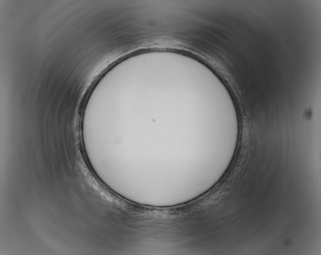X0000116110990200912211629
