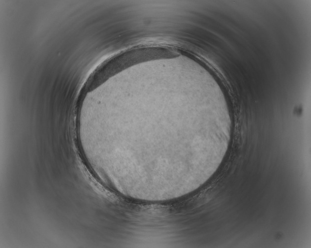 X0000116110992200912211629