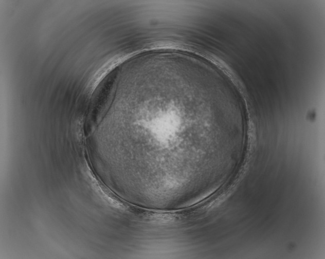 X0000116110993200912211629