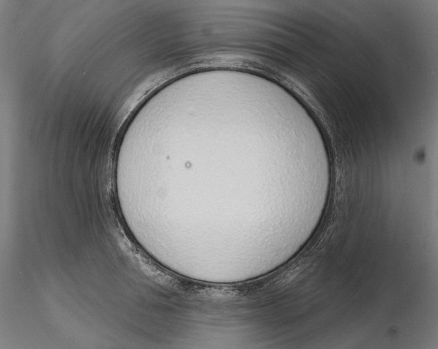 X0000116110994200912211629