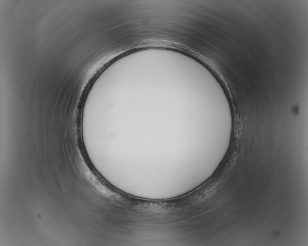 X0000116110995200912211629