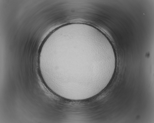 X0000116111000200912211629
