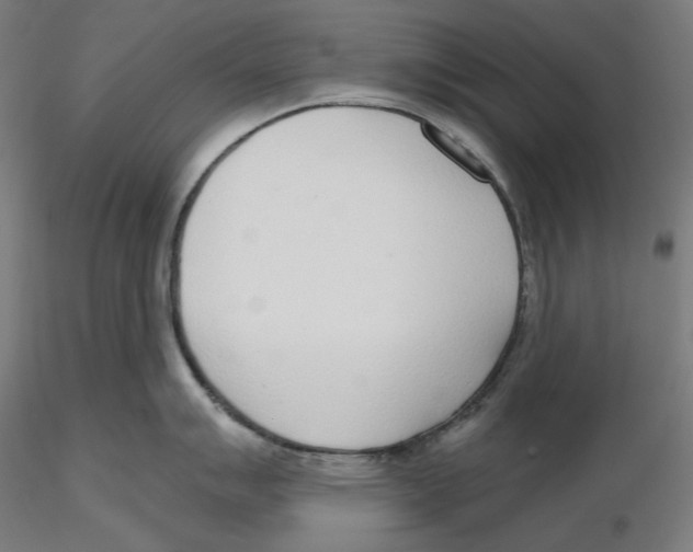 X0000116111007200912211629