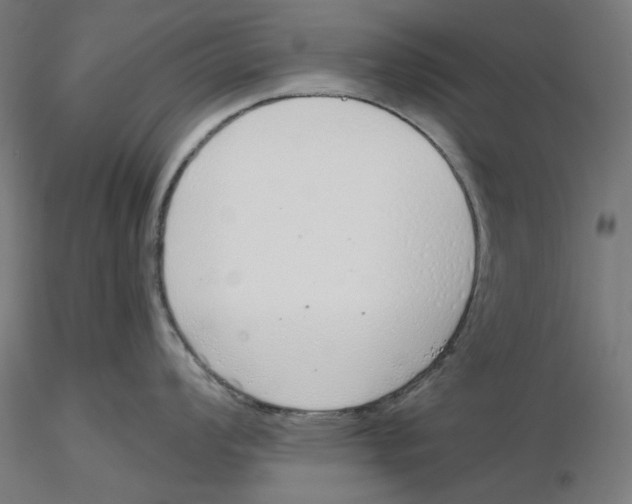 X0000116111008200912211629