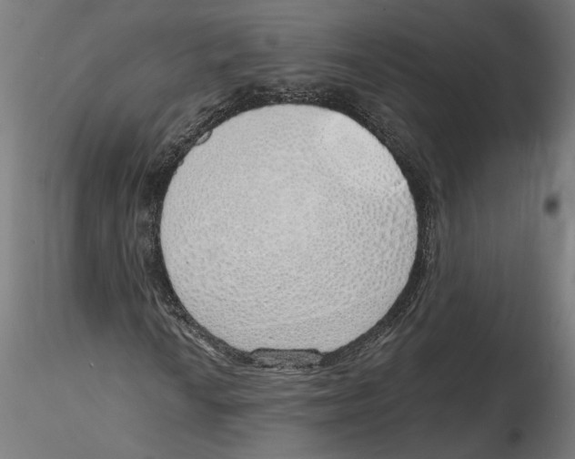 X0000116111010200912211628