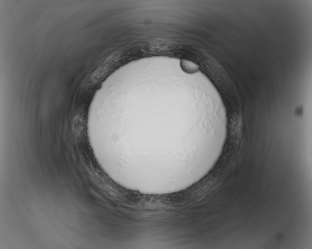 X0000116111011200912211628