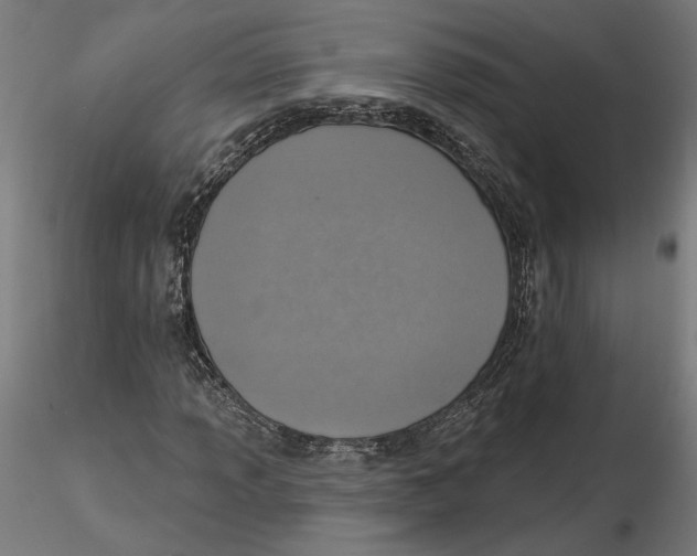 X0000116111013200912211628