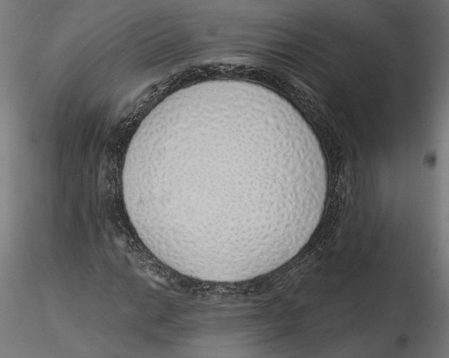 X0000116111014200912211628