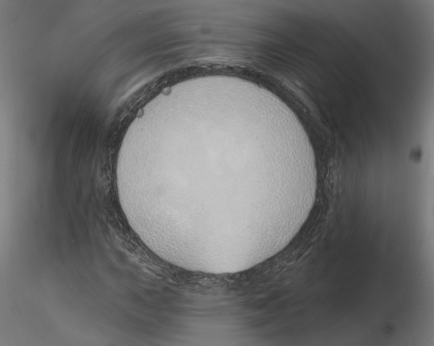 X0000116111015200912211628
